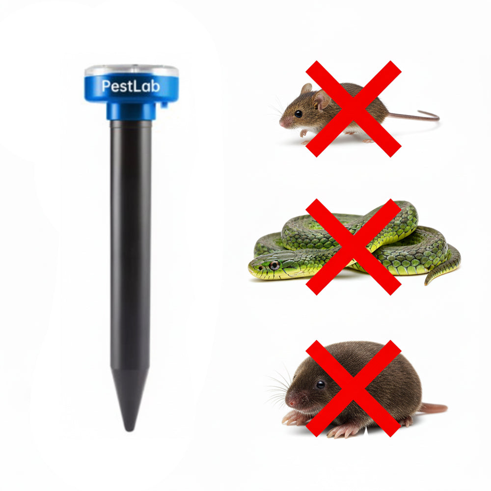 | ⏳ UTOLSÓ NAP! 70% kedvezmény | 🔥PestLab™ Kültéri Védőösszetétel – Száműzze a vakondokat, mezei pockokat, kígyókat, rágcsálókat és más kártevőket végleg!