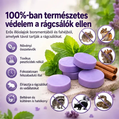 Természetes illatosító rovarriasztók – védelem a különféle kártevők ellen házba, garázsba és kültéri területekre